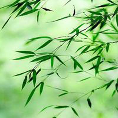 血灵诀之渡劫手游下载